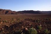 Atacama bivouac Atacama bivouac