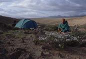 Atacama au sud