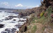 Punta Los Lobos Punta Los Lobos