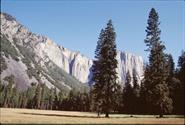 Yosemite NP