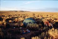 bivouac dans une prairie