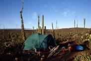 bivouac dans les cacti