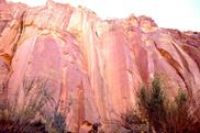 Capitol Reef Tapestry Wall