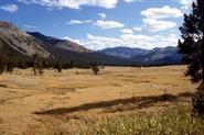 Yosemite NP