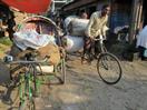Rangpur Rangpur