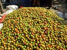 marché de gros marché de gros