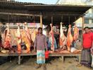Brahmanbaria boucher Brahmanbaria boucher