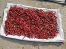 piment piment