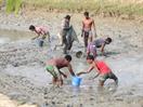 pèche en bassin à Mongla