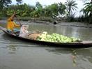 en route pour le marché en route pour le marché