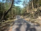 vers Bandarbans vers Bandarbans