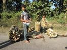 jeunes transporteurs de bois