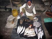 poissons