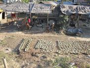 potiers Dibrugarh potiers Dibrugarh
