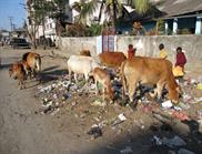 Dibrugarh Dibrugarh