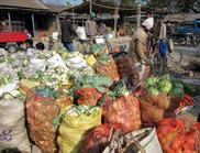 marché marché