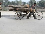 vers Alipur Duar