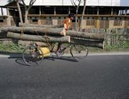 vers Alipur Duar