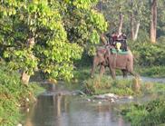 safari parc Jaldhapara