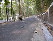 montée sur Darjeeling