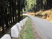 route de Mirik