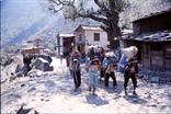 tour des Annapurna porteurs tour des Annapurna porteurs