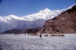 tour des Annapurnas, dans le lit de la rivière tour des Annapurnas, dans le lit de la rivière