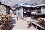 tour des Annapurna tour des Annapurna