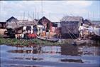 village au bord du Tonlé Sap village au bord du Tonlé Sap