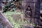 Ta Prohm Ta Prohm