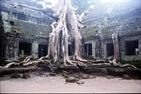 Ta Prohm Ta Prohm