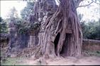 Banteay Srey Banteay Srey