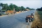 vers Battambang vers Battambang