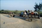 transport collectif transport collectif