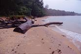 plage dans le parc Similajau