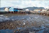 maisons sur pilotis vers Sandakan maisons sur pilotis vers Sandakan