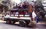 transport collectif