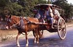 cariole-taxi