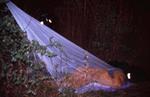 bivouac