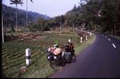 sur une route de Java sur une route de Java