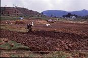 plateau de Dieng