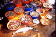vente du poisson frais vente du poisson frais