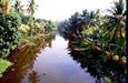 canaux du Kerala canaux du Kerala