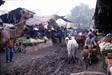 Mathura Mathura