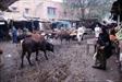 Mathura Mathura