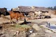 vers Mirzapur vers Mirzapur