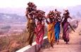 convoi de femmes convoi de femmes