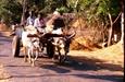Orissa, charette Orissa, charette