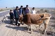 rencontres au Rajahstan rencontres au Rajahstan