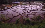 vers Tenom vers Tenom